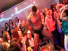 Horny Kittens Get Completely Crazy And Nude At Hardcore Party