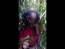 Indian Jungle Sex