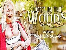 Lost In The Woods With Marilyn Sugar