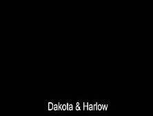 Brcc - Dakota And Harlow 3Way