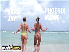Bangbros - Pawg Pornstars Sara Jay And Phoenix Marie Get Their Big Asses Hammered