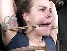 Boxtied Sub Tormented By Black Dominator