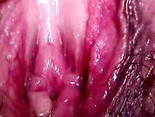 Romantic Home Porn With Close-Up Female Genital During Climax