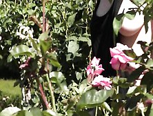 Teaser - Flashing Into A Loose Dress At A Delicious Rose Garden