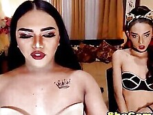 Two Hot Shemale Loves To Fuck Each Other