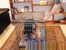 Asian Hooker Leaves Cage To Suck Black Cock