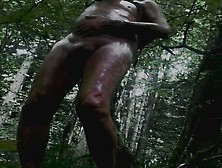 Naked Bound On A Tree And Oiled Up