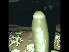 My Real Uncut Dick Show
