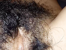 Nicaragua Hairy