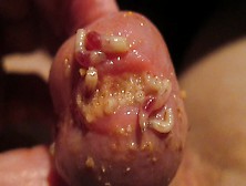 Maggots Filled With Cock Blood Come Back For More
