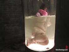 Sexy Slave Brunette Stacey Stax Gets Punished In Big Water Tank