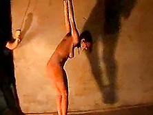 Suspended Honey Is So Flexible To Stand The Pain
