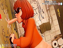 Velma Experience