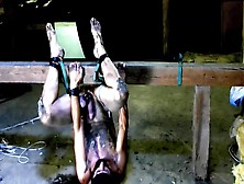 Naked Hot Slave Dirty Cleans The Barn Balls Tiedup