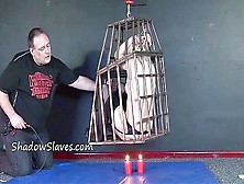 Caged,  Suspended And Warmed Up