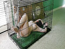 Chained In Cage