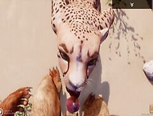 Wild Life / Furry Pov With Cheetah Girl
