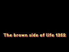 The Brown Side Of Life 1352
