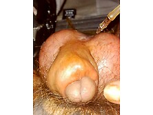 Cbt Burning Cock Head Gland Repeatedly