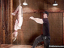 Slave Swing In Rope Upside Down Suspension With Ashley Lane
