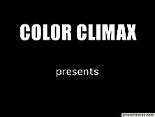 Color Climax - My Sister's Boobs