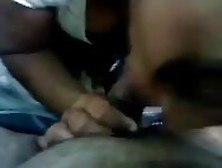 Amateur Cock Sucker Caught Giving Head On Camera