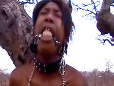 African Town Sluts Tied Up Gagged Public Outdoor Spanking Humilliation