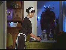 Maid Anal Service