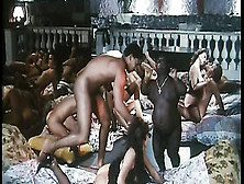 Well-Known Orgy With Black Fat Midget From "rotte E Sfondate