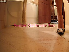 Mistress Anna - Swallow Shit From The Floor