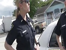 Police Office Jane And Amateur Anal Outside Domestic Disturbance Call