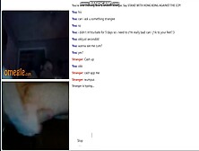 Omegle Worm 543 / Chat Fun