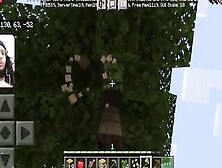 Minecraft Gameplay #2 / Getting Wood To Start Building A House // With Facecam