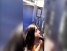 Sloppy Hotel Elevator Oral Sex