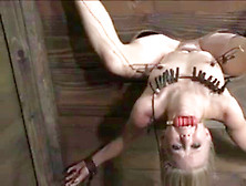 Blond Bound And Used