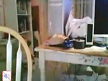 Strip And Masturbation On A Webcam