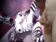 Furry In A Striped Suit Takes A Prick And Moans Gently
