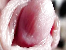 Gigantic Clitoris Close-Up