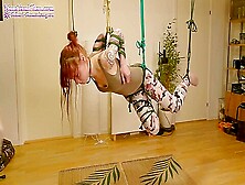 Girl In Chicken Wing (Tenshi Harness) Suspension P4