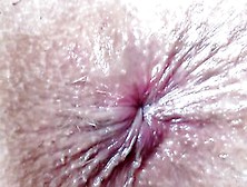Close-Up Anal Opening