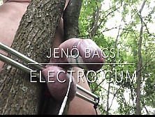 Outdoor Electro Cumshot