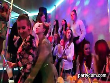 Slutty Chicks Get Fully Mad And Undressed At Hardcore Party