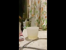 Skank Pee Into Food Bowl During The Repair