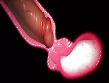 Carnal Instinct Lovely Intense Sex Charming Twat Screwed Hard Hard Core Cream-Pie Hot Sperm Inside