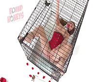 Your Valentines Day Pet Is Waiting In Her Cage.