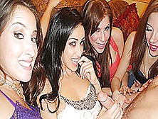 Bachalorette Party Gets Crazy - Pornpros