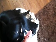 Point Of View Fellatio.  Lusty Dark Haired Blows Huge Cock Like A Skank