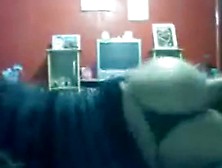 Morena Tarada Se Exibindo Na Webcam