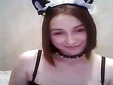 Cat Webcam