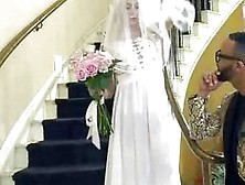 New Bride Gets A Blowjob From Hubby